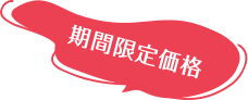 期間限定価格