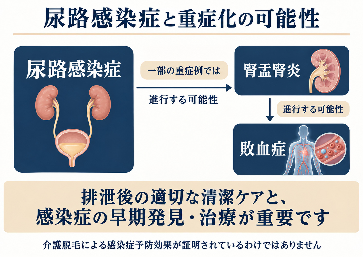 高齢者の尿路感染症が腎盂腎炎や敗血症へ重症化する可能性と排泄後の清潔ケアの重要性を示した図