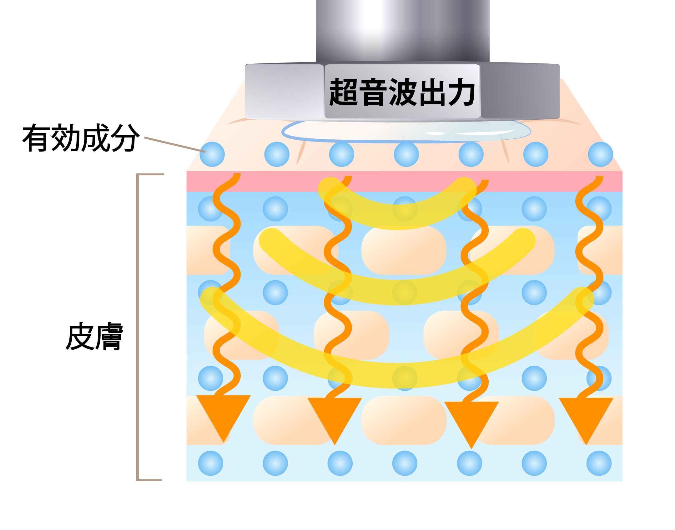 左寄せ画像