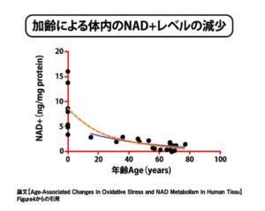 加齢による体内NAD+レベルの減少