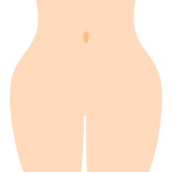 ハイジニーナ型
