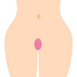 オーバル型