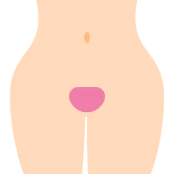 トライアングル型