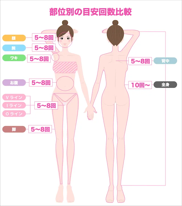 脱毛目安回数比較