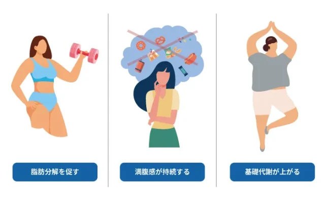 GLP-1にはどんな効果が